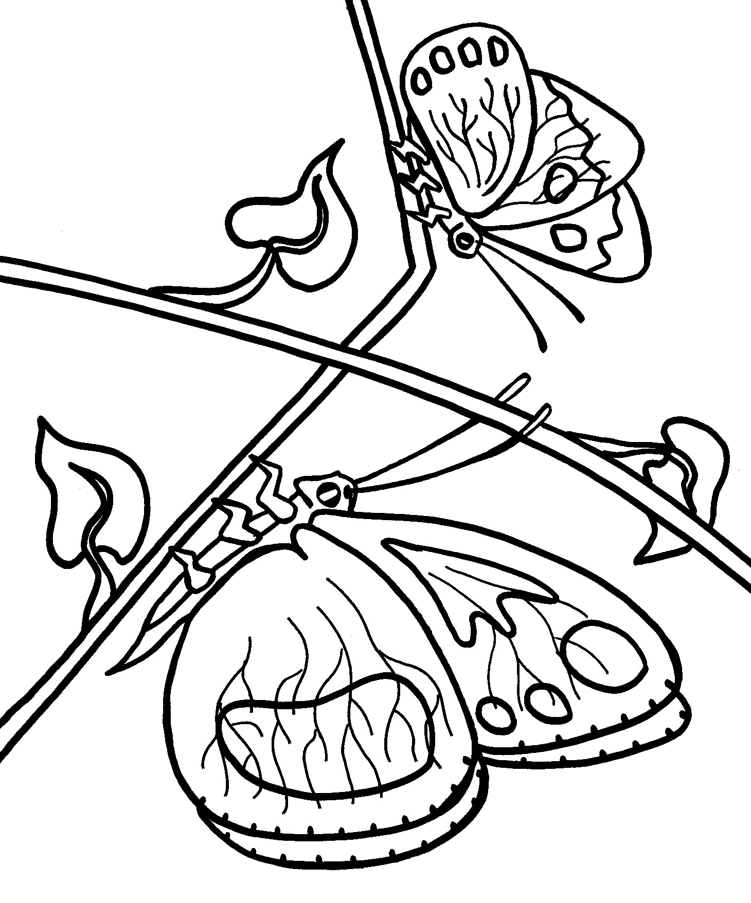 Coloring Pages For Kids Butterflies
 Free Printable Butterfly Coloring Pages For Kids