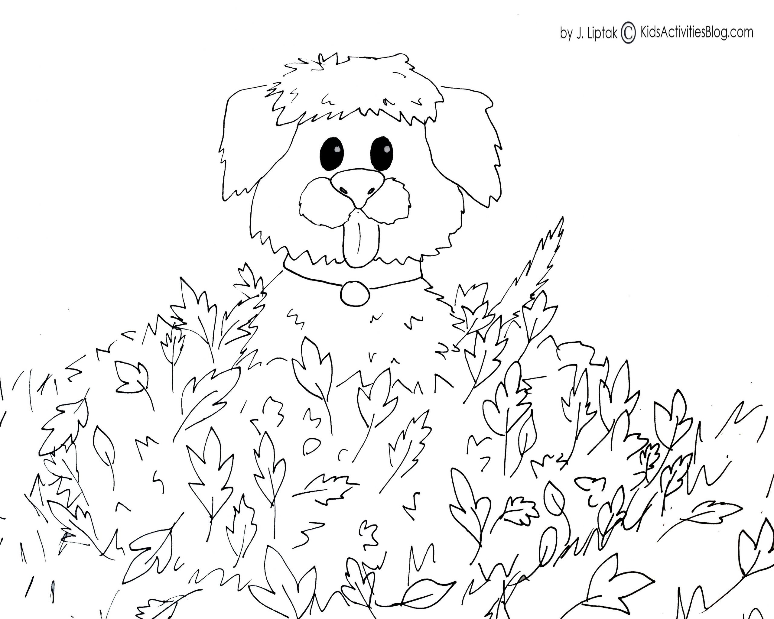 Coloring Pages For Kids Fall
 4 FREE PRINTABLE FALL COLORING PAGES Kids Activities