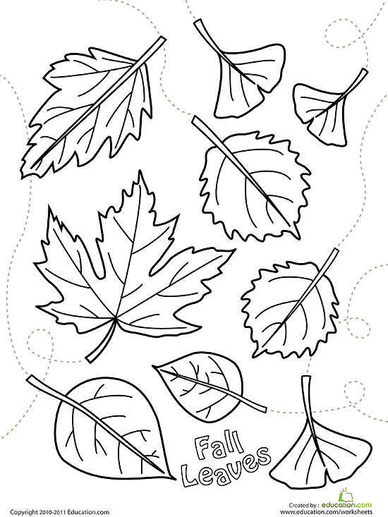 Coloring Pages For Kids Fall
 Printable Fall Coloring Pages
