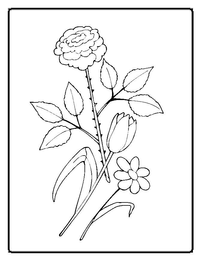 Coloring Sheets For Kids Com
 Coloring Pages Worksheets Simple Flower Coloring Pages