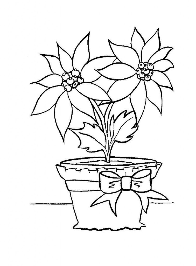 Coloring Sheets For Kids Com
 Free Printable Poinsettia Coloring Pages For Kids