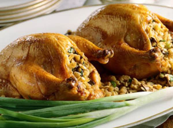 Cornish Game Hens Recipes
 Cornish Game Hens With Stuffing