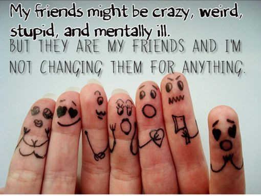 Crazy Friendship Quotes
 My Crazy Friends Quotes QuotesGram