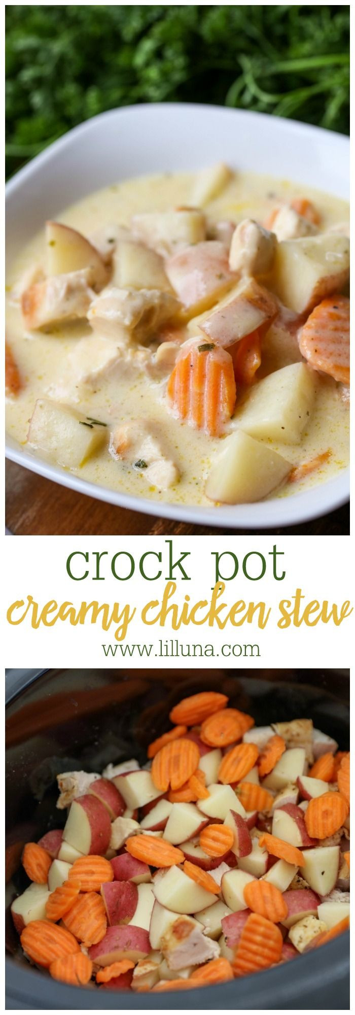 Crockpot Chicken With Cream Of Chicken Soup
 Creamy Chicken Stew Recipe I Soups