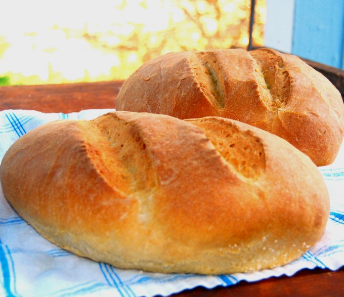 Crusty Italian Bread
 Crusty Italian Bread
