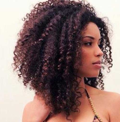 Curly Hairstyles For Natural Black Hair
 25 Short Curly Afro Hairstyles