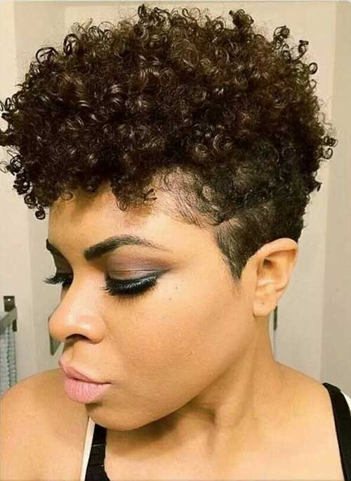 Curly Hairstyles For Natural Black Hair
 Natural Curly Hairstyles for Black Women Hairstyle For Women