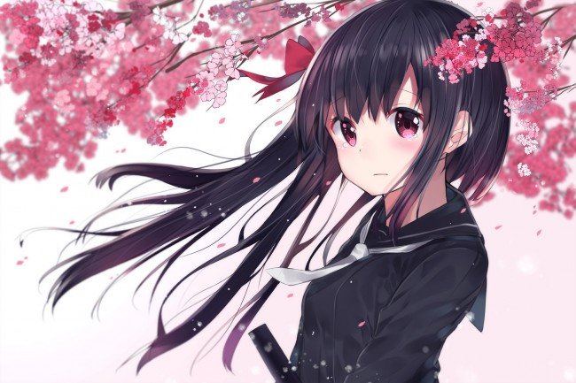 Cute Anime Hairstyles For School
 Download Anime Girl Tears Sakura Blossom Long