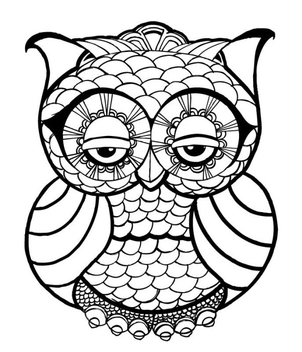 Cute Coloring Pages For Adults
 OWL Coloring Pages for Adults Free Detailed Owl Coloring