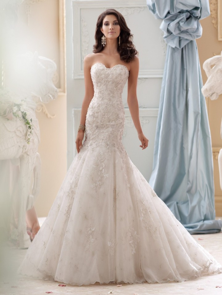 David Tutera Wedding Dresses
 David Tutera Wedding Dresses 2015 Collection MODwedding