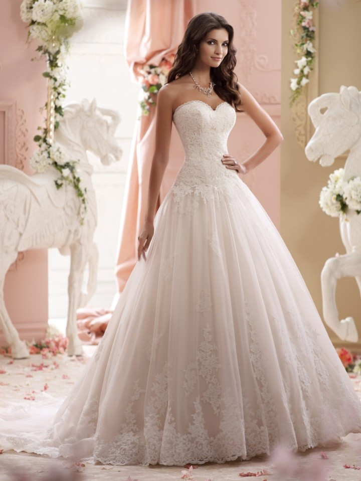David Tutera Wedding Dresses
 David Tutera Wedding Dresses 2015 Collection MODwedding