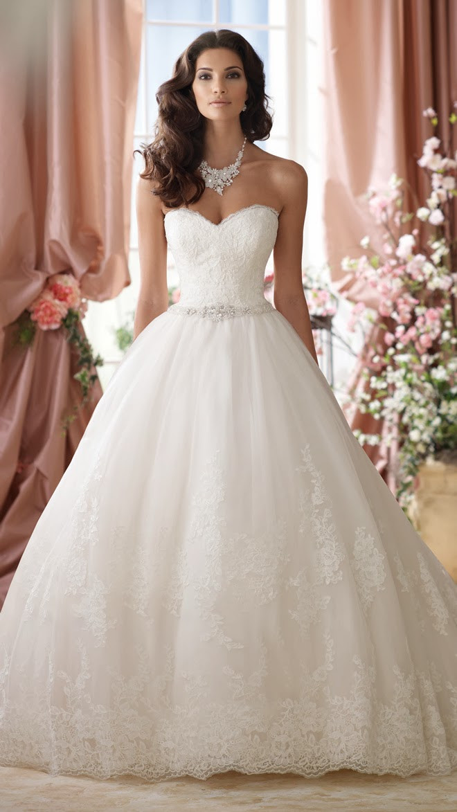 David Tutera Wedding Dresses
 David Tutera for Mon Cheri Spring 2014 Bridal Collection