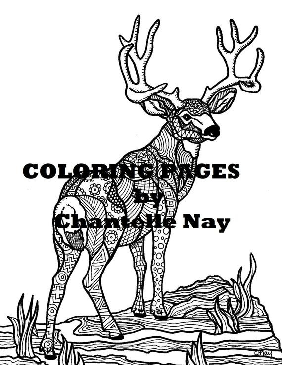 Deer Coloring Pages For Adults
 Deer Coloring page adult coloring picture animals