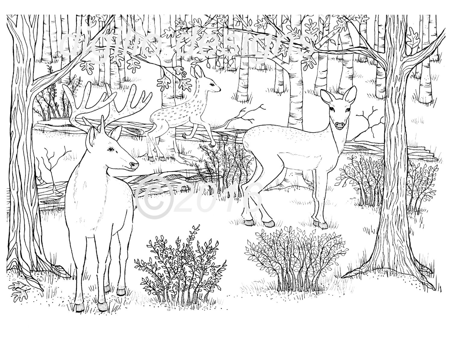 Deer Coloring Pages For Adults
 Adult Coloring Page Deer Woodland Forest Deer in the Dell Wall