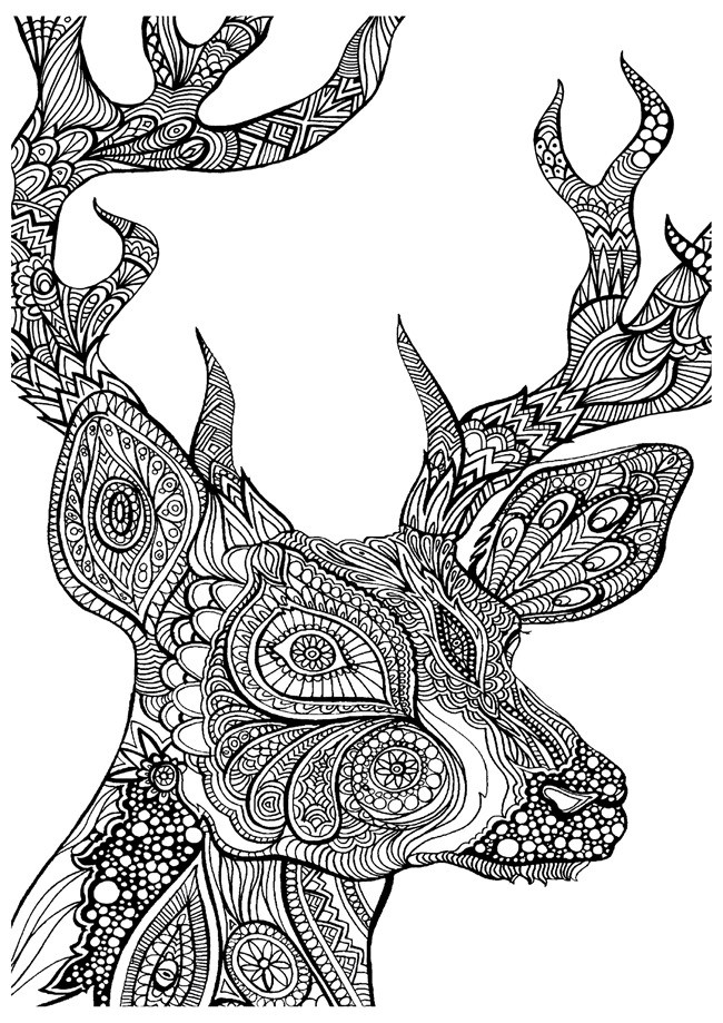 Deer Coloring Pages For Adults
 Printable Coloring Pages for Adults 15 Free Designs