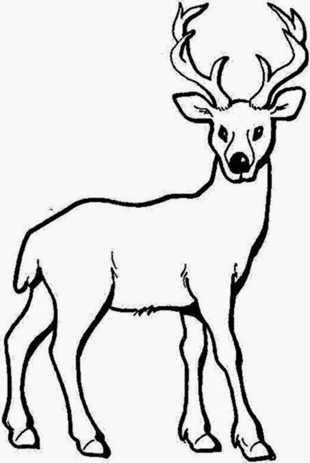 Deer Coloring Pages For Adults
 Baby Deer Coloring Pages Printable – Colorings
