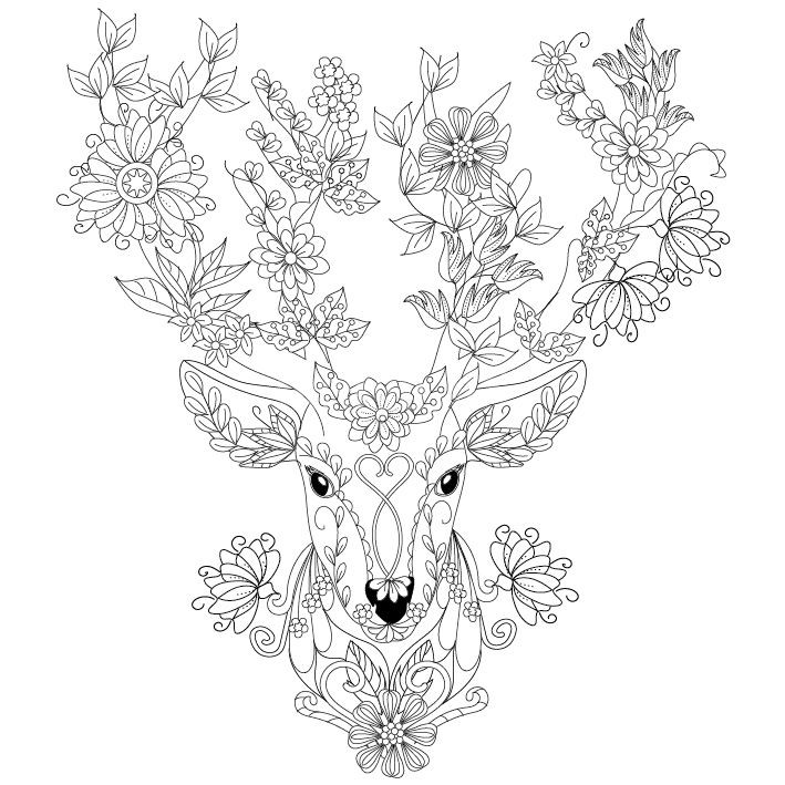 Deer Coloring Pages For Adults
 Deer coloring page Design MS
