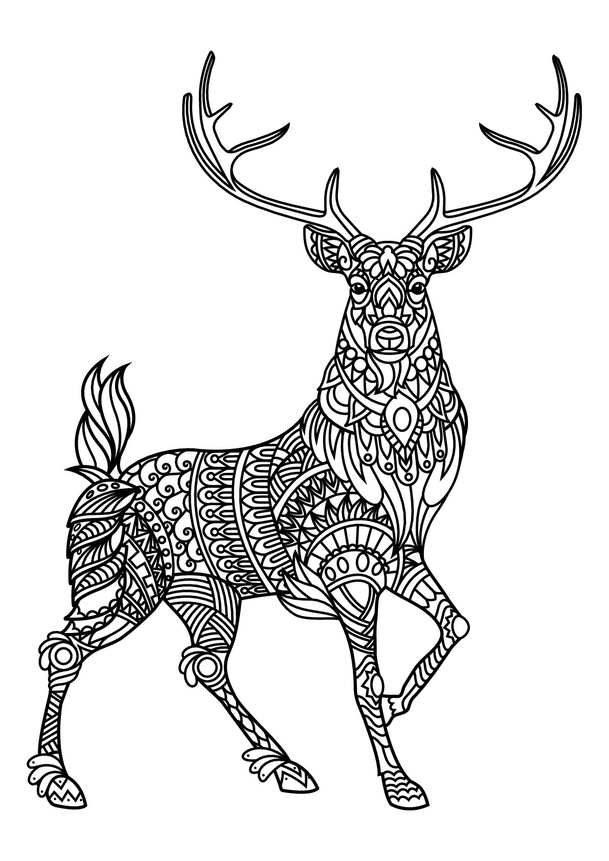 Deer Coloring Pages For Adults
 Free book deer Deers Adult Coloring Pages