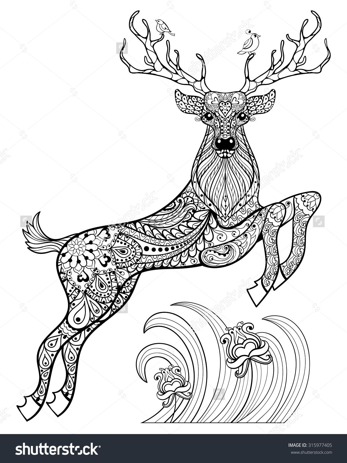 Deer Coloring Pages For Adults
 Deer Coloring Pages for Adults