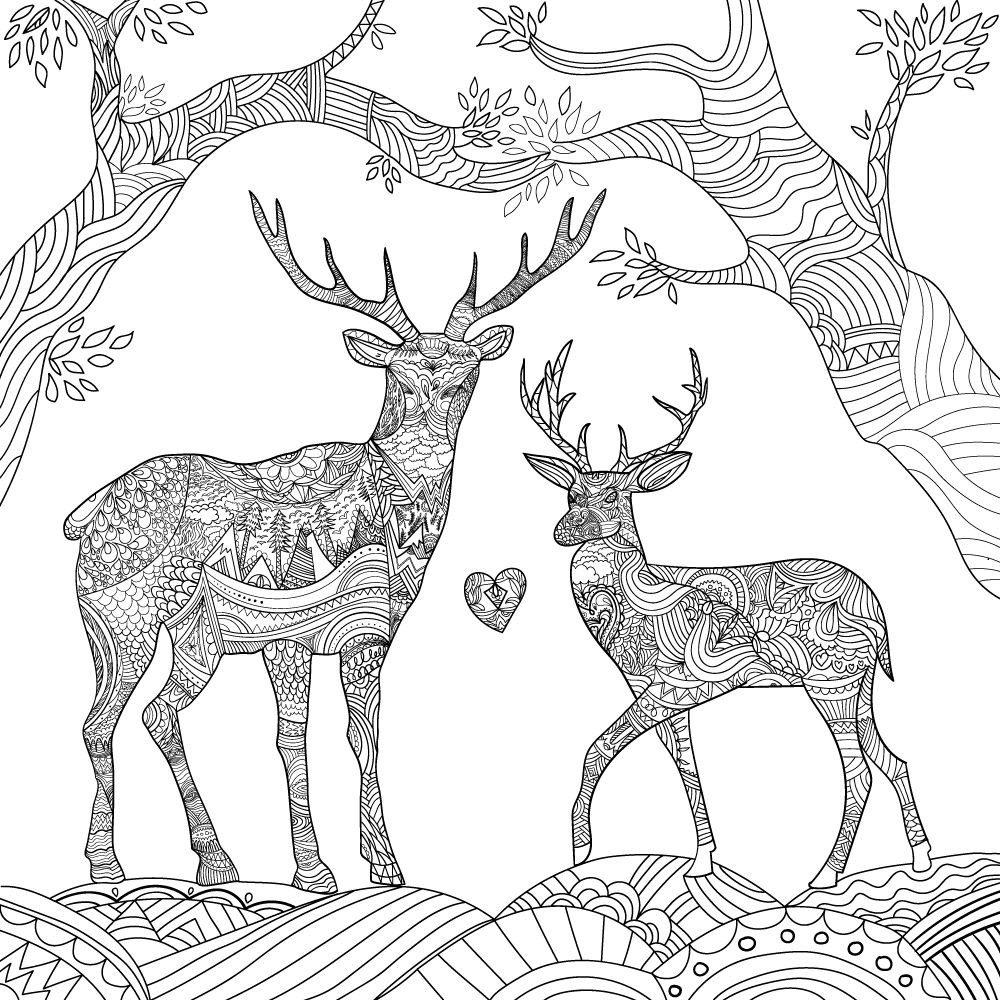 Deer Coloring Pages For Adults
 Pin by Lorrie Antwine on Coloring