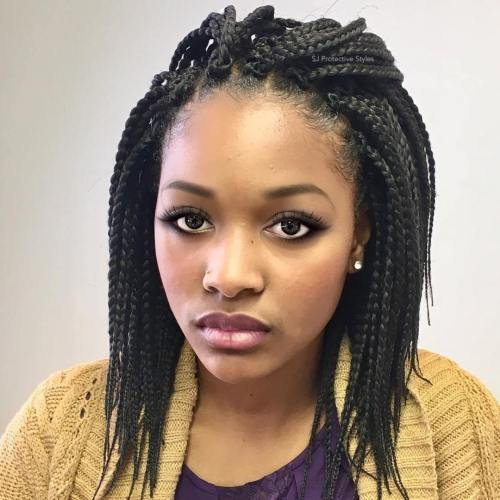 Different Hairstyles For Crochet Braids
 40 Crochet Braids Hairstyles for Your Inspiration
