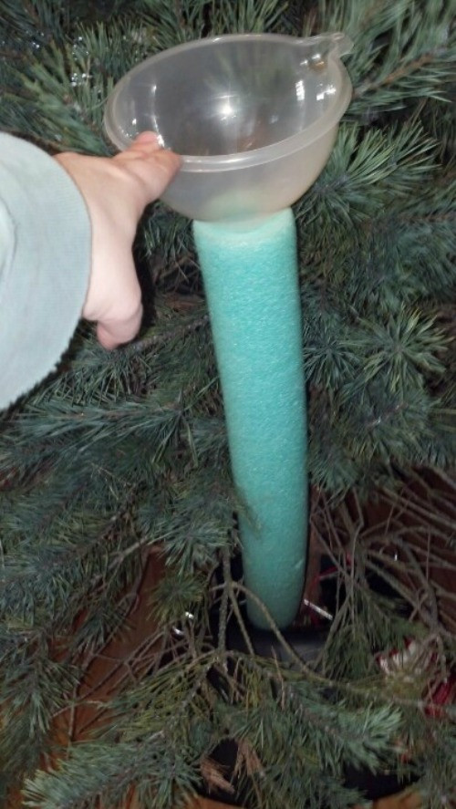 DIY Christmas Tree Watering System
 20 Christmas Hacks and Tips