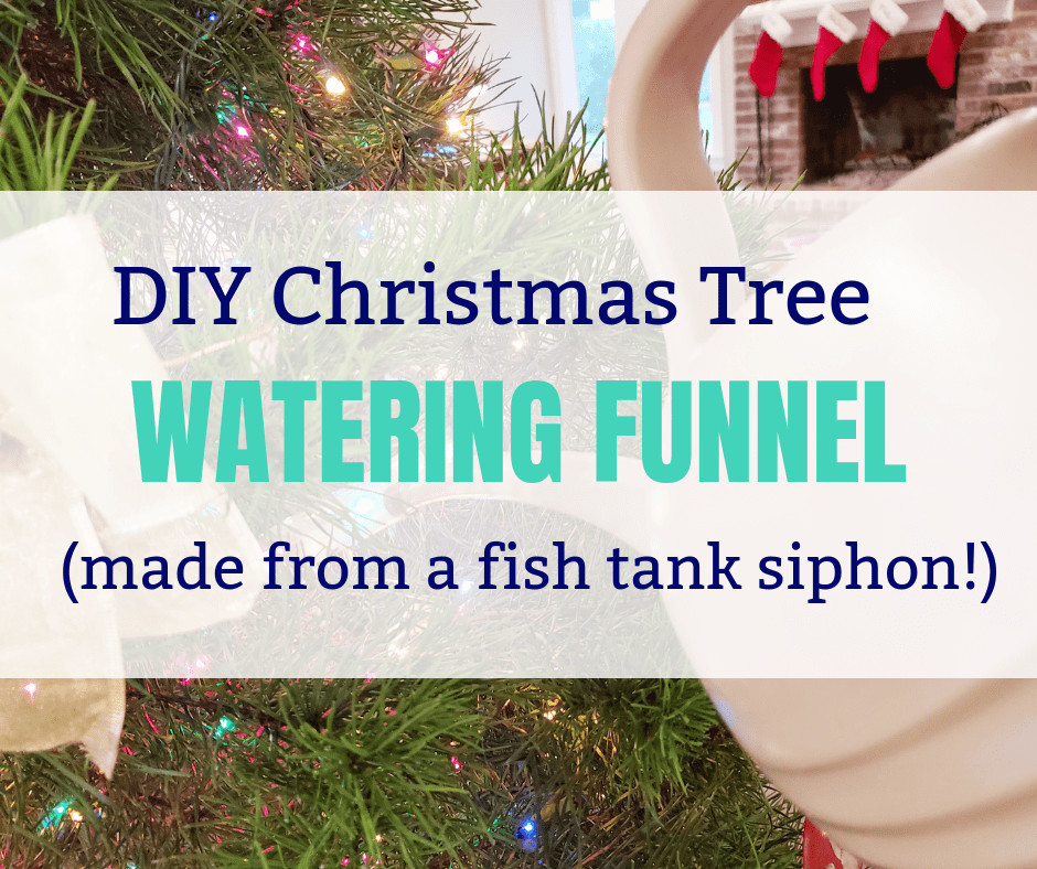 DIY Christmas Tree Watering System
 Quick Tip Tuesday DIY Christmas Tree Watering Funnel