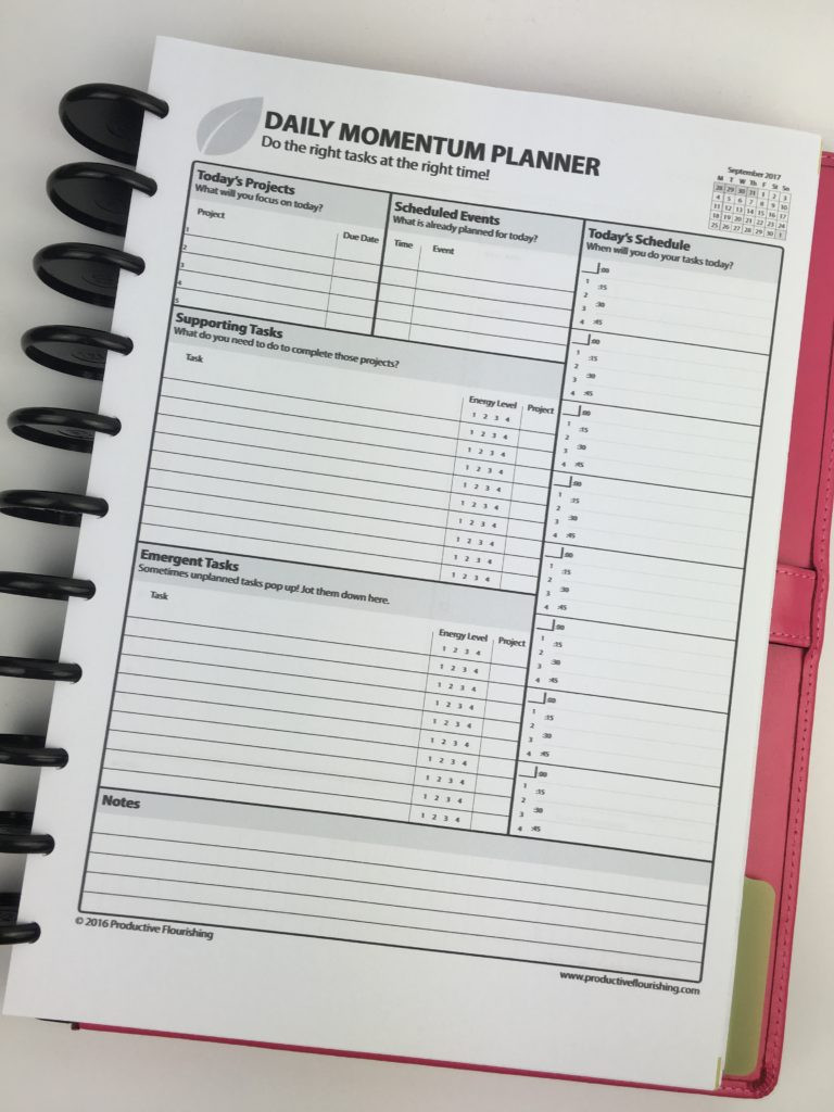 DIY Daily Planners
 Planning using the daily and weekly Momentum Planner by