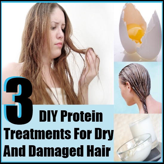 DIY Damaged Hair Treatments
 3 DIY Protein Treatments For Dry and Damaged Hair
