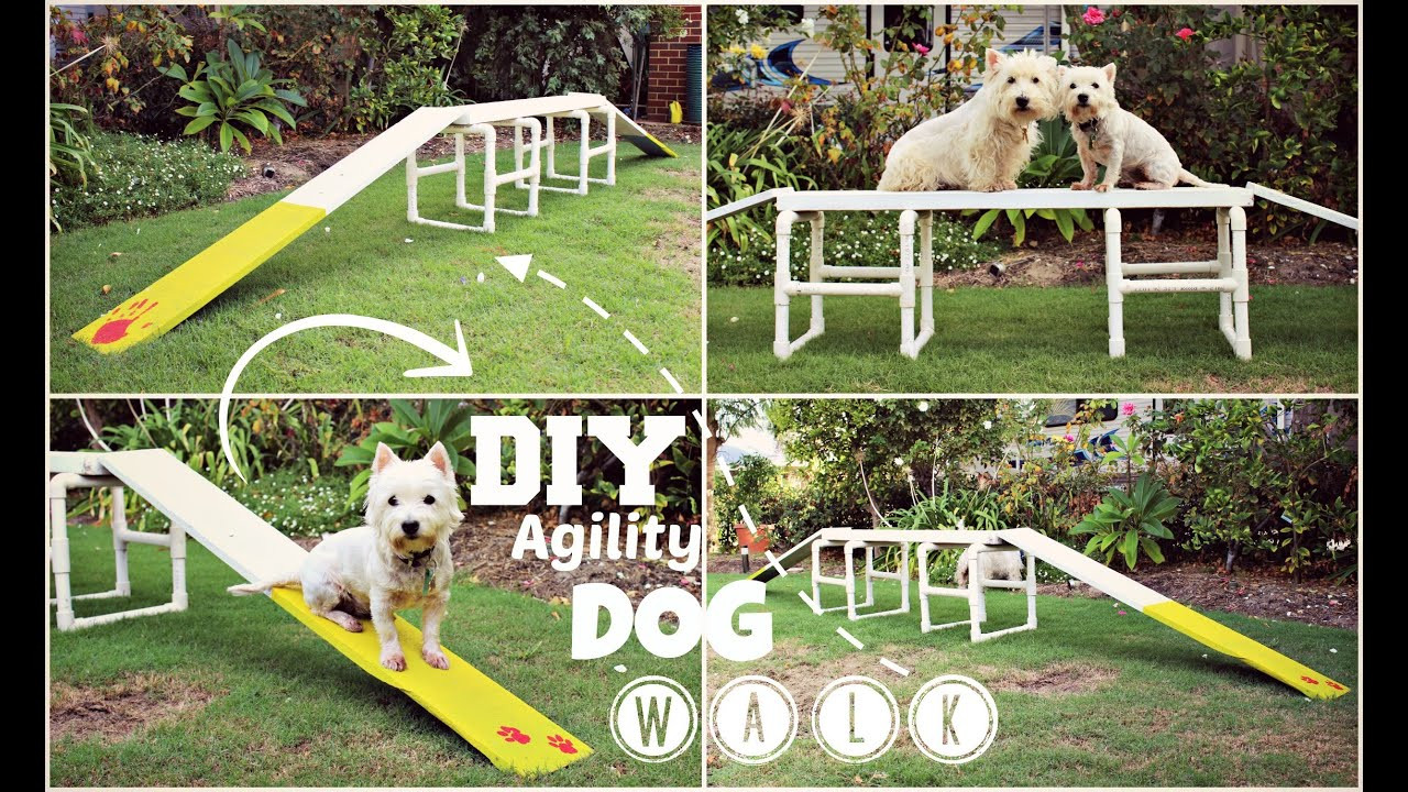 DIY Dog Agility Course
 How To DIY Agility Dog Walk