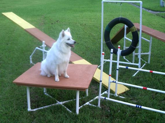 DIY Dog Agility Course
 Dog Agility Equipment Construction Instruction Booklet