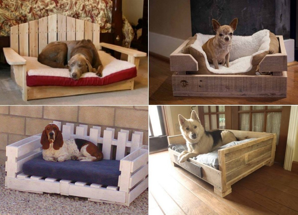 DIY Dog Bed Frame
 20 Fantastic Pet Bed ideas
