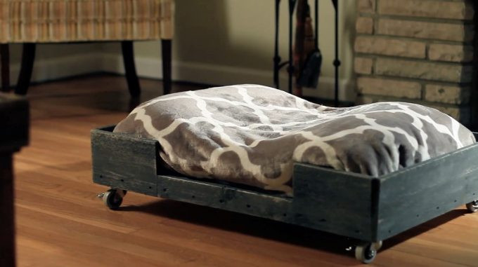 DIY Dog Bed Frame
 DIY Dog Bed Frame Step by Step DIY Guide and Expert s Advice