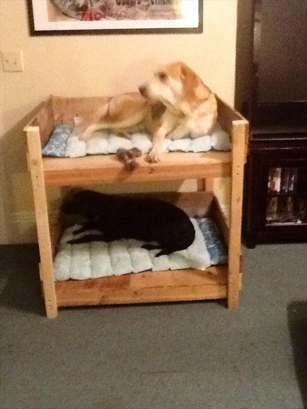 DIY Dog Bed Frame
 DIY Pet Bunk Bed Plans to Build Dog Bed