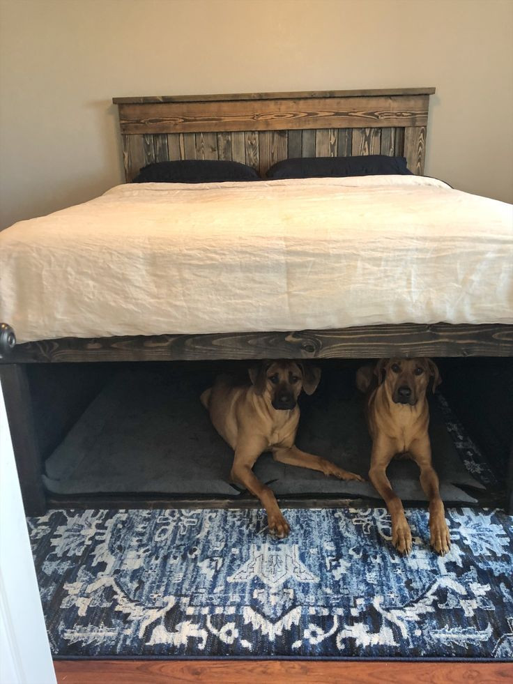 DIY Dog Bed Frame
 California King wooden bed with dog den underneath in 2019