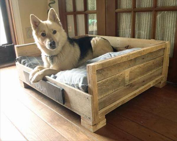 DIY Dog Bed Pallet
 8 DIY Pallet Beds For Dogs