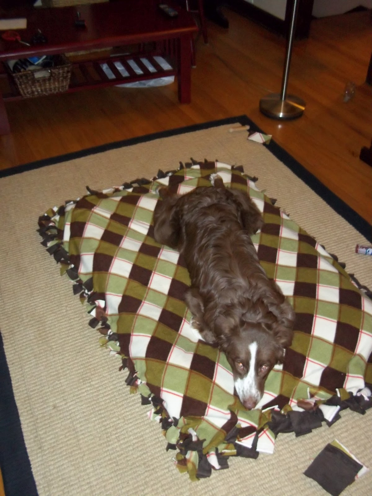 DIY Dog Beds For Large Dogs
 Our Big Blue House Homemade Dog Bed
