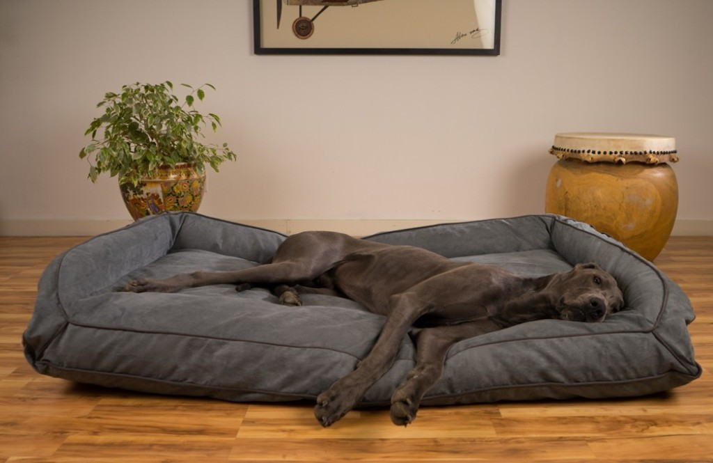 DIY Dog Beds For Large Dogs
 Best Dog Beds Ideas Pinterest Dog Bed Diy