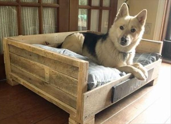 DIY Dog Beds For Large Dogs
 diy dog beds for large dogs
