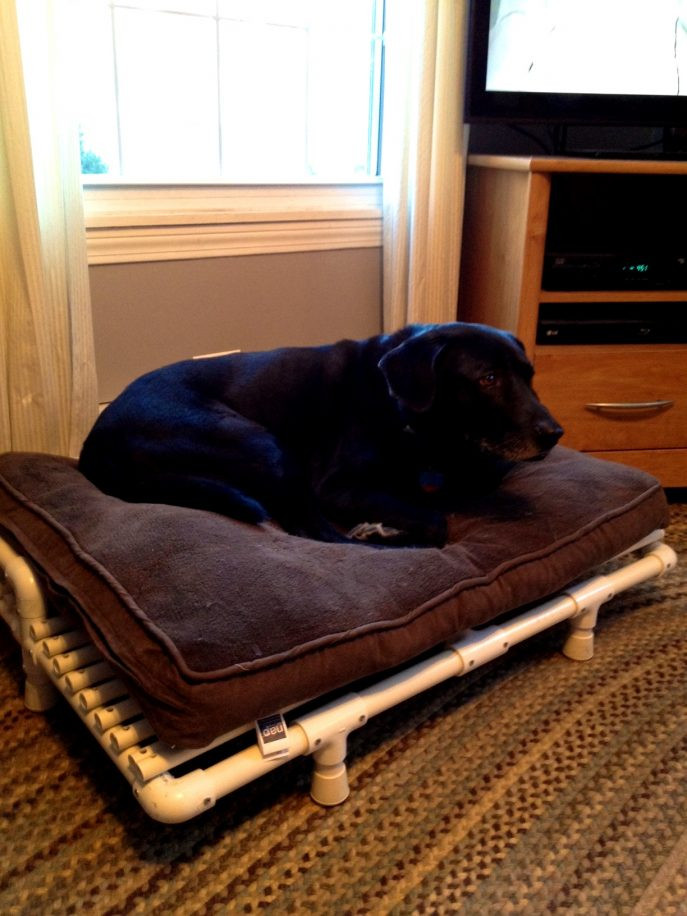 DIY Dog Beds For Large Dogs
 Elevated Dog Bed Diy Choose A Special Hammock Dog Bed