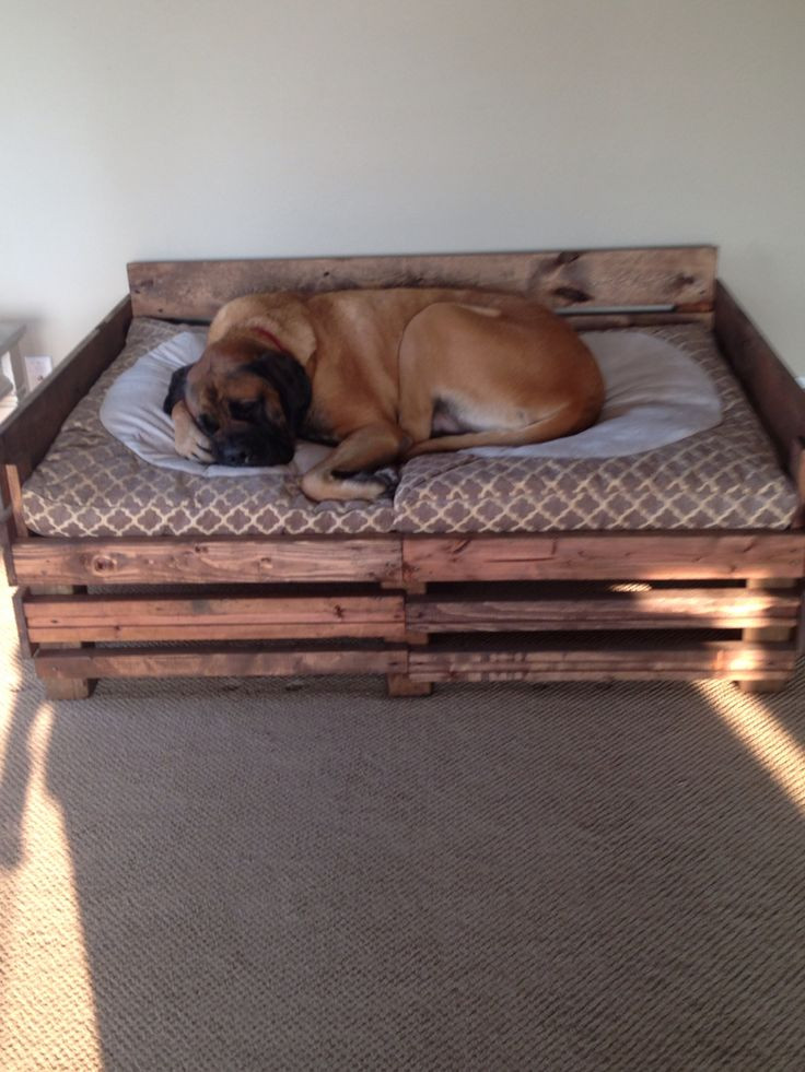 DIY Dog Beds For Large Dogs
 Best 25 Homemade dog bed ideas on Pinterest