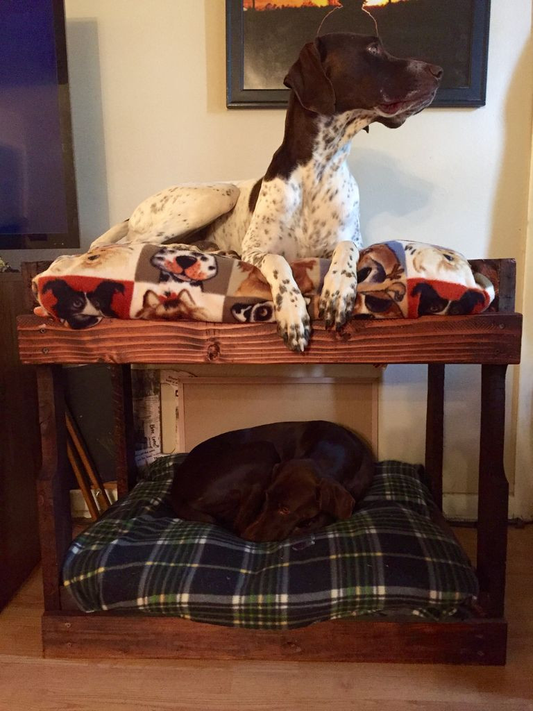 DIY Dog Beds For Large Dogs
 DIY Dog Bunk Beds 8 Steps with