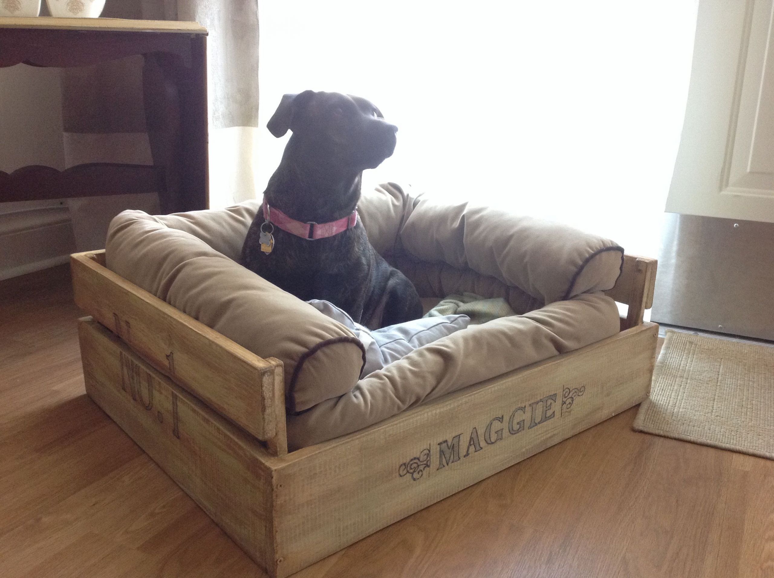 DIY Dog Beds For Large Dogs
 Diy Dog Bed Ideas 79 meowlogy