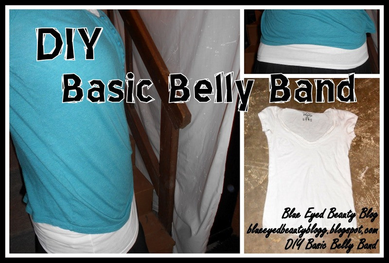 DIY Dog Belly Band
 Blue Eyed Beauty Blog DIY Basic Belly Band