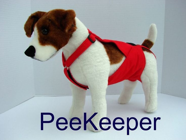 DIY Dog Belly Band
 PeeKeeper Escape Proof Dog Diapers for Male and Female