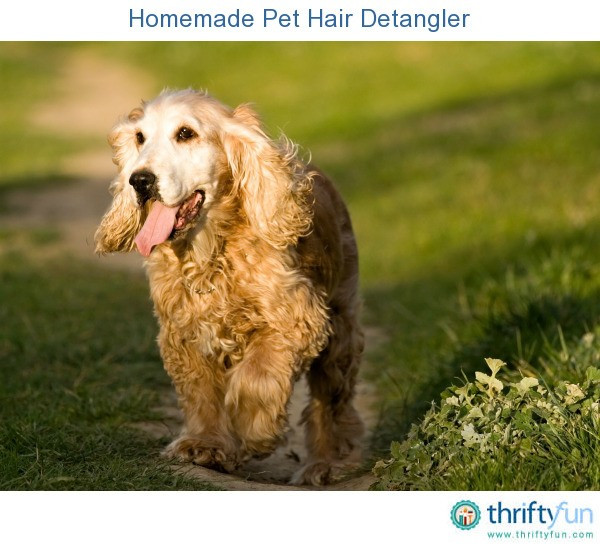 DIY Dog Detangler
 Homemade Pet Hair Detangler