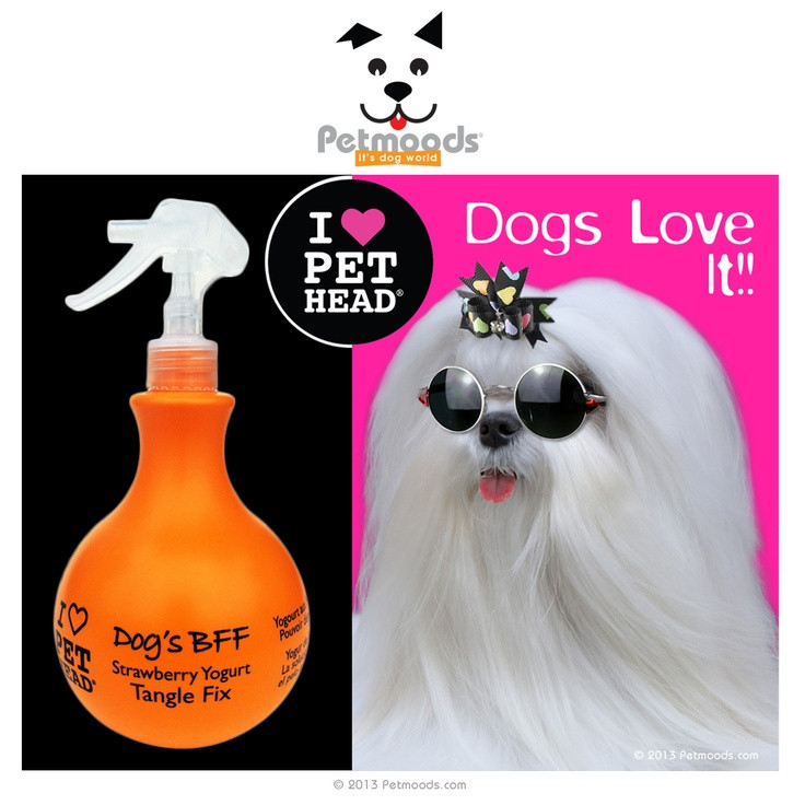 DIY Dog Detangler
 17 Best images about Dog hair detangler on Pinterest