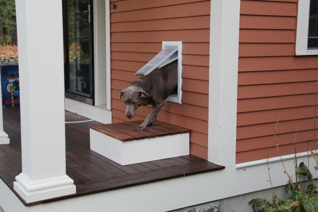 DIY Dog Door Flap
 Pin on Home Improvement Tips