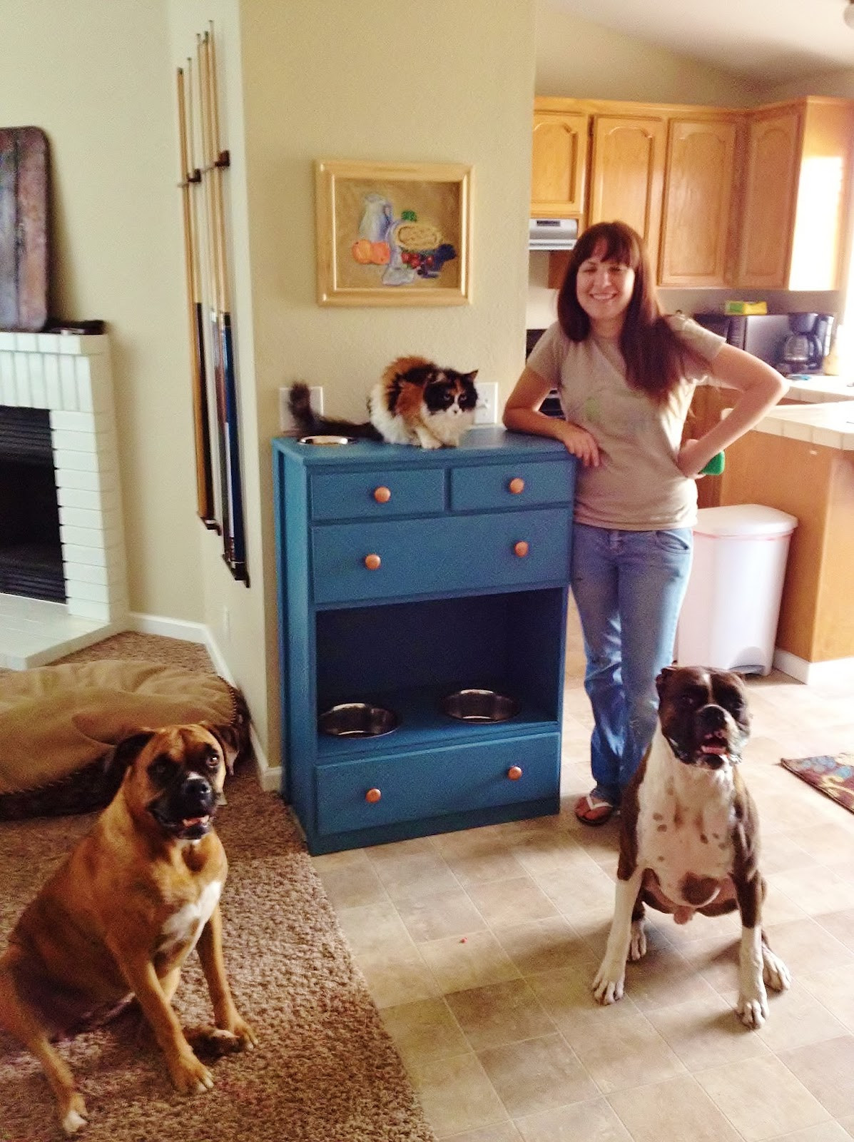 DIY Dog Feeding Station
 Crafty Wife Crafty Life DIY Pet Feeding Station