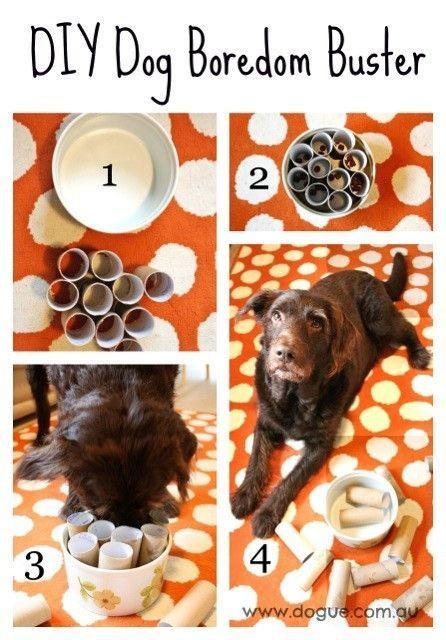 DIY Dog Puzzles
 37 Homemade Dog Toys Made by DIY Pet Owners